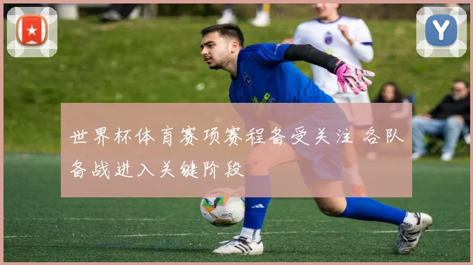 世界杯体育赛项赛程备受关注 各队备战进入关键阶段