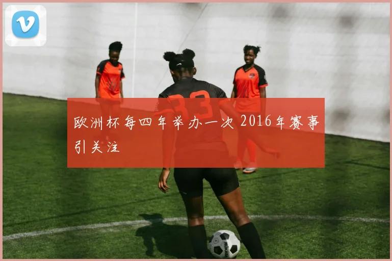 欧洲杯每四年举办一次 2016年赛事引关注