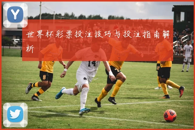 世界杯彩票投注技巧与投注指南解析