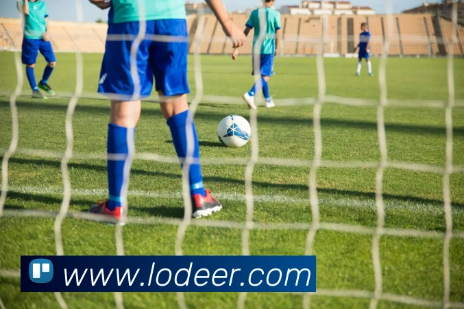 世界杯app平台服务体系